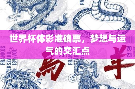 世界杯体彩准确票，梦想与运气的交汇点