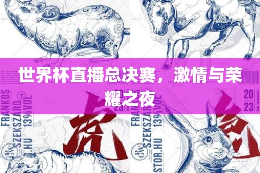 世界杯直播总决赛，激情与荣耀之夜