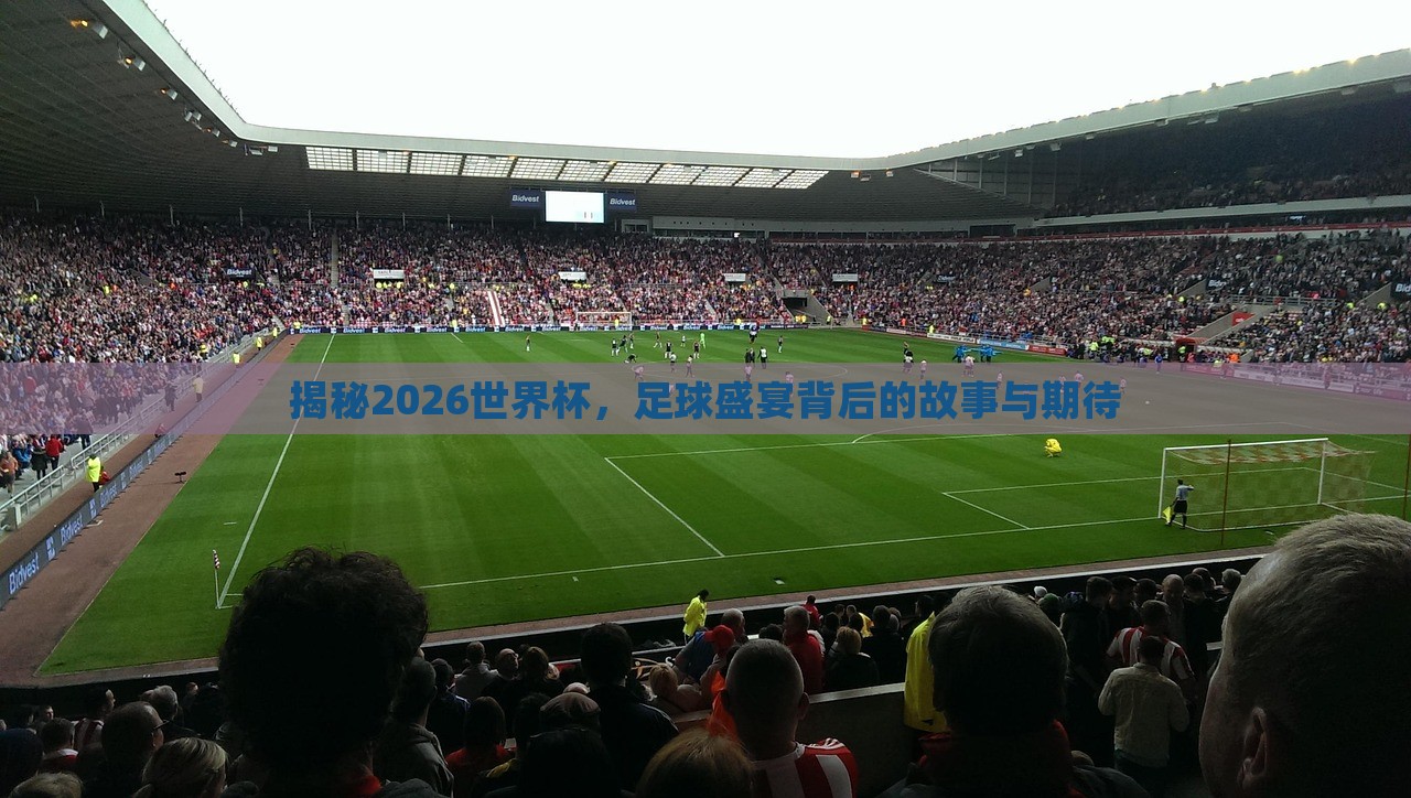 揭秘2026世界杯，足球盛宴背后的故事与期待眉山市正发家政服务有限公司